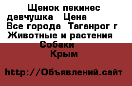 Щенок пекинес девчушка › Цена ­ 2 500 - Все города, Таганрог г. Животные и растения » Собаки   . Крым